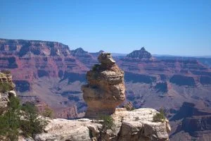 Arizona