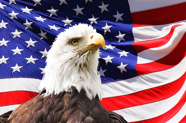 Symbole USA 🇺🇸 – flaga, godło i hymn narodowy