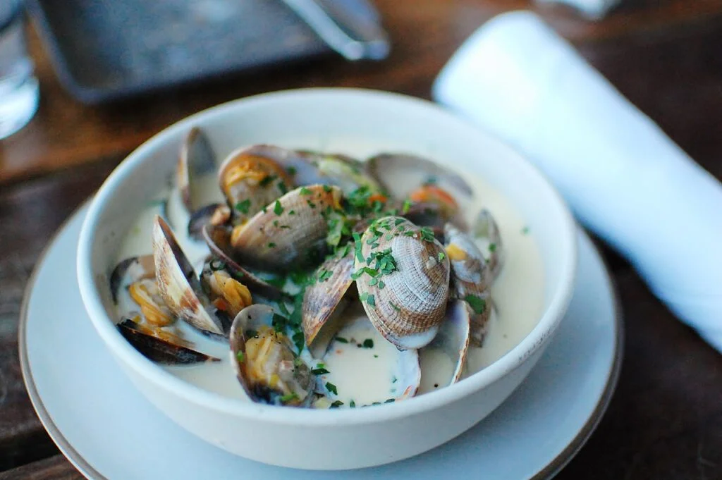 Clam chowder