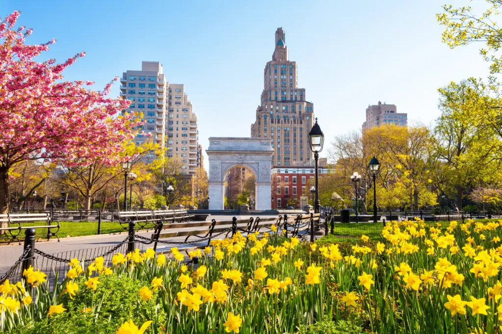 Washington Square Park wiosną