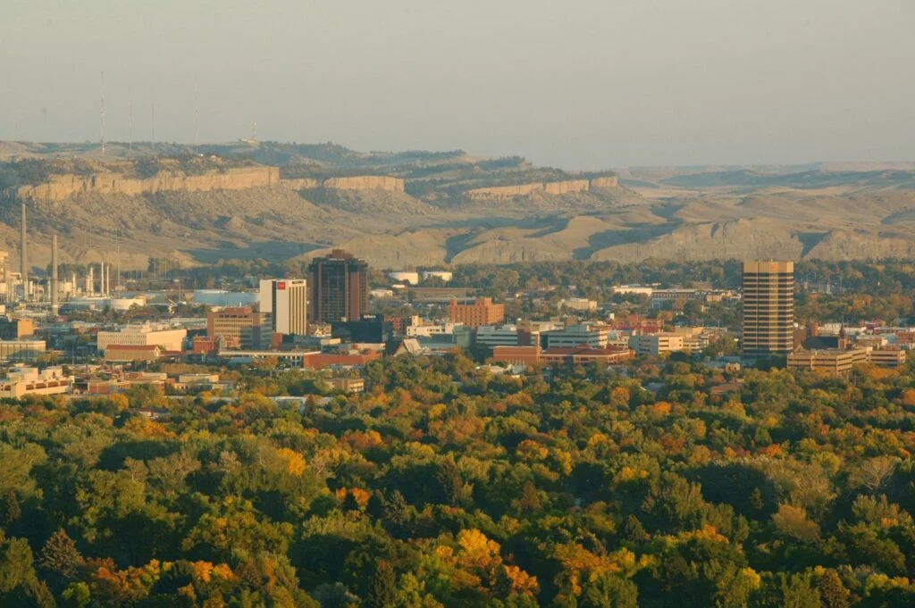 Billings z lotu ptaka