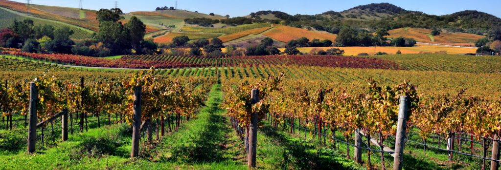 Napa Valley