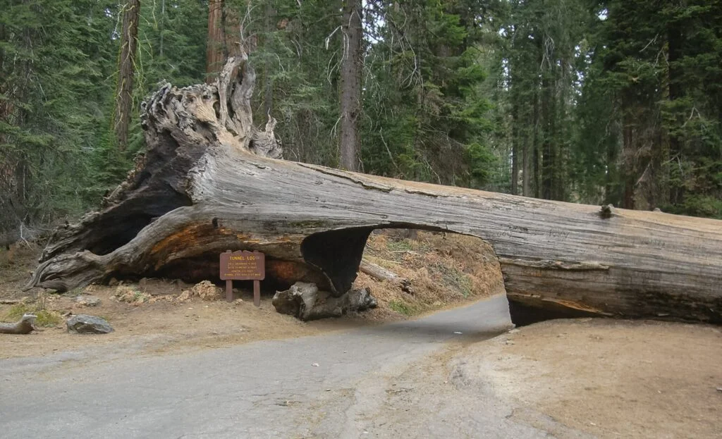 Tunnel log