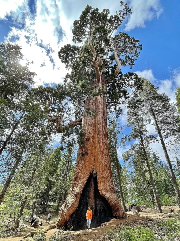 Kings Canyon National Park