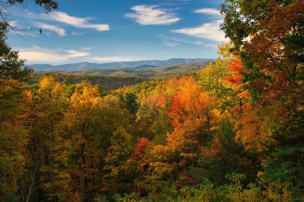 Panorama Great Smoky Mountains