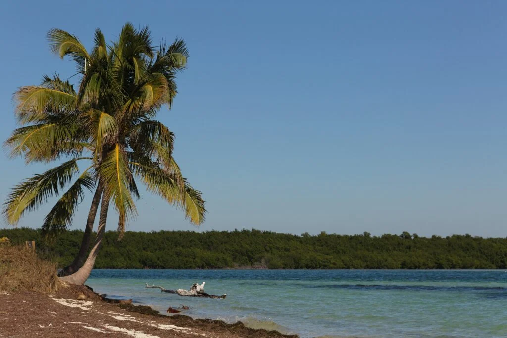 Plaża Bahia Honda State Park, Floryda Keys