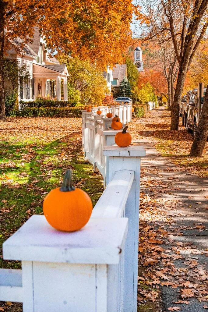 Fall Foliage Woodstock