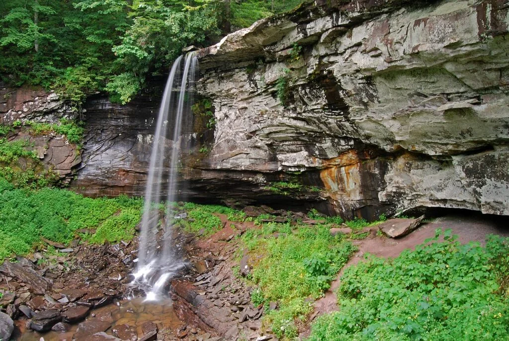 Wodospad w Monongahela National Forest