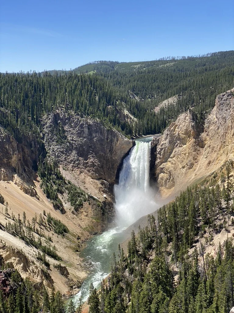 Wielki Kanion Yellowstone